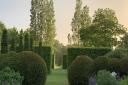 Hedges and trees in the Barn Garden at Serge Hill