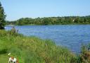 Whitlingham Country Park is perfect for a picnic (photo: Michael Button, Flickr, CC BY 2.0)