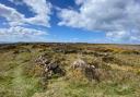 Hut circles at Kynance Gate, Cornwall