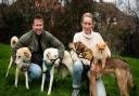 Pen Farthing and his wife Kaisa back home in Exeter with their dogs.