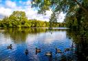 Weald Country Park