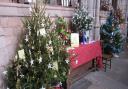 Decorative Christmas trees in Crediton’s Christmas Tree Festival. The town celebrates its association with St Boniface. Photo: Simone Stanbrook-Byrne