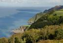 Exmoor is a unique habitat. Photo: Nigel Stone