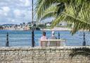 The palm tree-lined seafront looks like it could be on the Spanish coast: Photo: The English Riviera BID Company