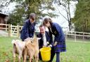 Head Boy and Head Girl at St Edward's Preparatory School