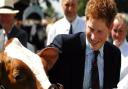 Prince Harry at the Royal Norfolk Show (photo: James Bass)