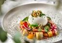 Burrata with panzanella and tomato, at Luciano by Gino d'Acampo