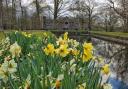 Springtime at Dunham Massey.