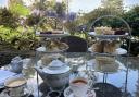 A smashing afternoon tea at Knoll House, Stu's vegan option on the left and mine on the right. (Photo: Helen Stiles)