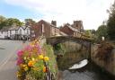 Flowers by the river in Croston. PHOTO: John Cocks