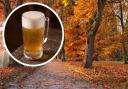 There are a few nice autumn walks to take in around Sussex with a pub stop on route