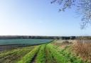 The walk takes you around the tranquil countryside on the outskirts of King's Lynn. Photo: Peter James