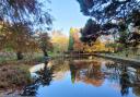 The lily pond in Witton Park. PHOTO: Stephen Whitehead