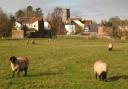 The approach to Nafferton.