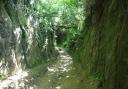 Hell Lane, an ancient holloway.