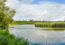 Enjoy peaceful views of Old Alresford Pond