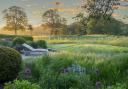 Harris Bugg Studio's meadow in a clay soil surrounding a Dorset garden.