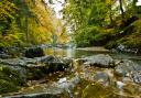 River Esk (Image: Cumbria Tourism/Dave Willis)