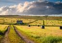 Early summer harvesting in Baldersdale.