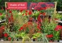 Display in the garden centre