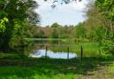 New Pool, near Whitegate.