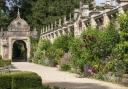 The sheltered position of the Exotic Borders allows borderline hardy plants to thrive.