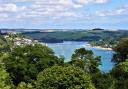 Typical South Hams scenery along the Salcombe estuary