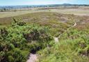 Looking back down the Bull Barrow path. (Photo: Edward Griffiths)