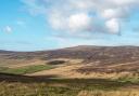 The view to Ward's Stone, the highest peak in Bowland.