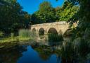 Bridge over the River Stour at Blandford.