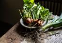 Vegetables are taken to the pub every day.