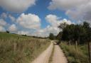 Bridleway track to Ashmore Barn Farm at the start of the walk.