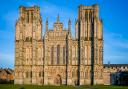 Somerset artists selected for Wells Cathedral exhibition