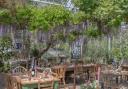 Enjoy the delights of fine Cornish fare in the unusual setting of a greenhouse at Potager Garden