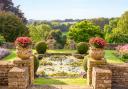 Taking out a large tree allows the  view to extend out into the Cotswold countryside.