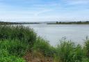 The Severn near Newham