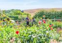 In summer the flower beds are filled with a dazzling array of blooms.