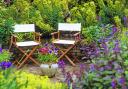 Uplift simple furniture with planting