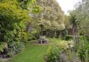 Ivy Chimneys at Gislingham will be open for the NGS in August.