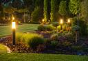 Lighting can make a huge difference to late summer gardens says Nige.