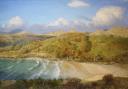 Grizebeck Beach and the Furness Fells, Martin Greenland