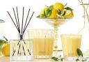 Nest New York Sunlit Yuzu & Neroli Classic Candles & Diffuser.