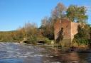 The ruins of Cutt Mill on the River Stour