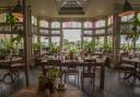 The restaurant at The Pig on the Beach with its terracotta pots of herbs and sea views.