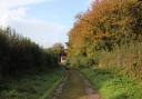 The bridleway track up from Newfield House.