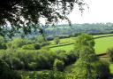 Lovely views throughout the walk across pastoral countryside