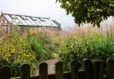 The Dry Garden may have been born out of necessity but it is one of Jane's favourite parts.