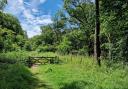 A woodland lane near the villages