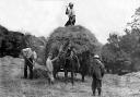 Mr Crout and son, and Mr Kerswell and son, with the horse Gypsy. haymaking at Foxworthy, 1907, by Arthur Roope Hunt.