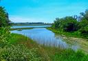 Explore the upper reaches of the Colne estuary